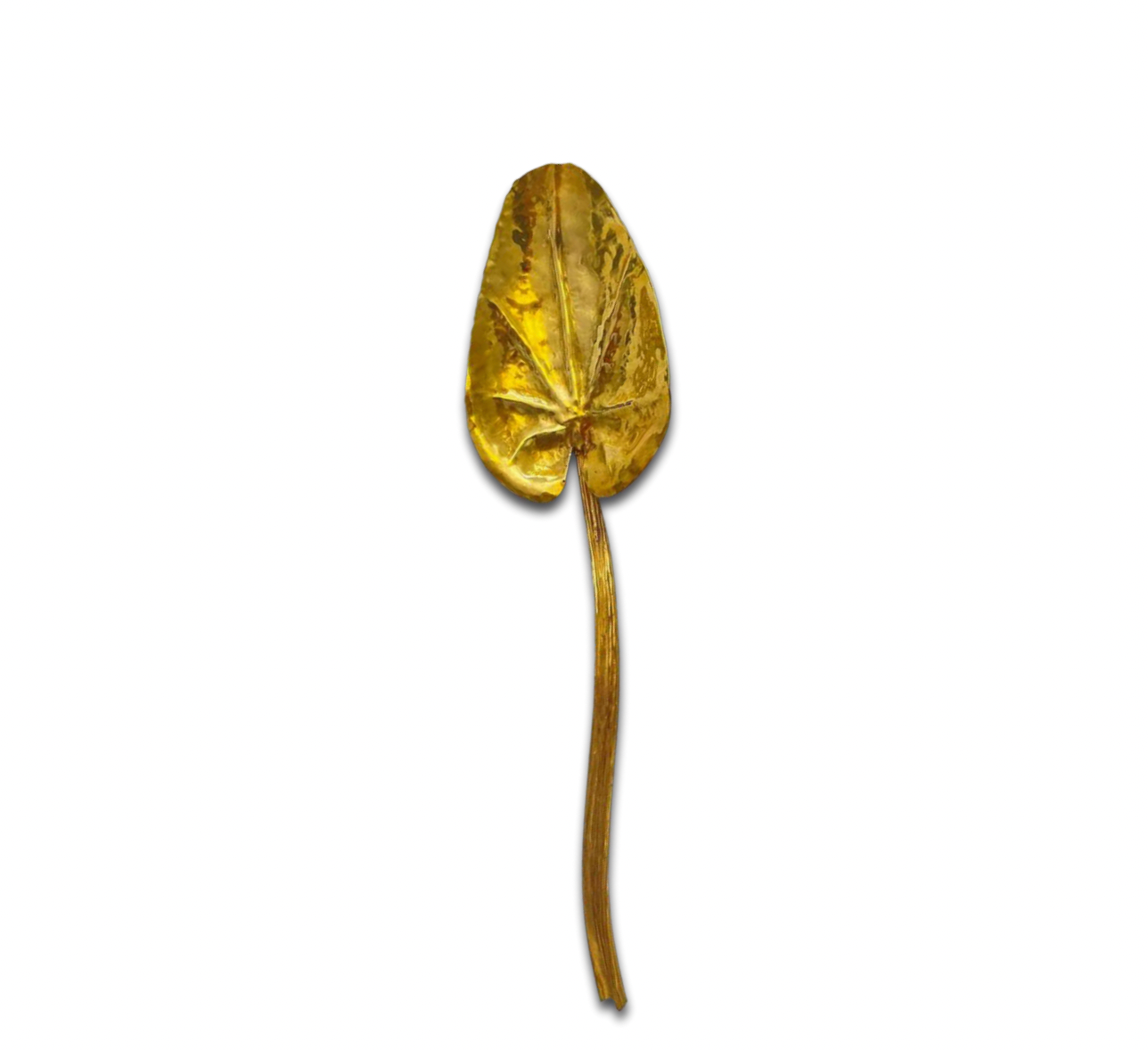 Serving Spoon Grass