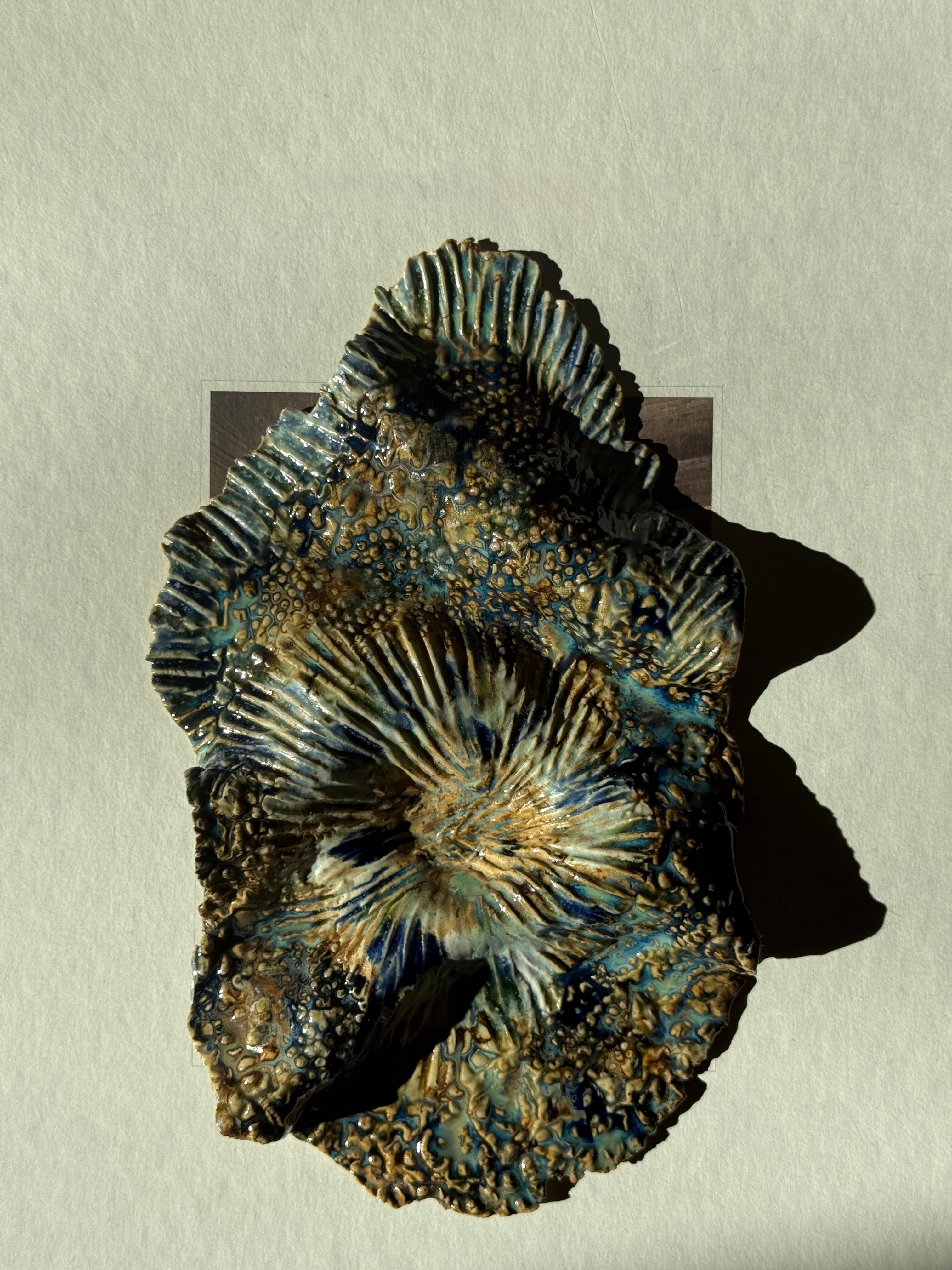 Plato Cayo Apaga Vela