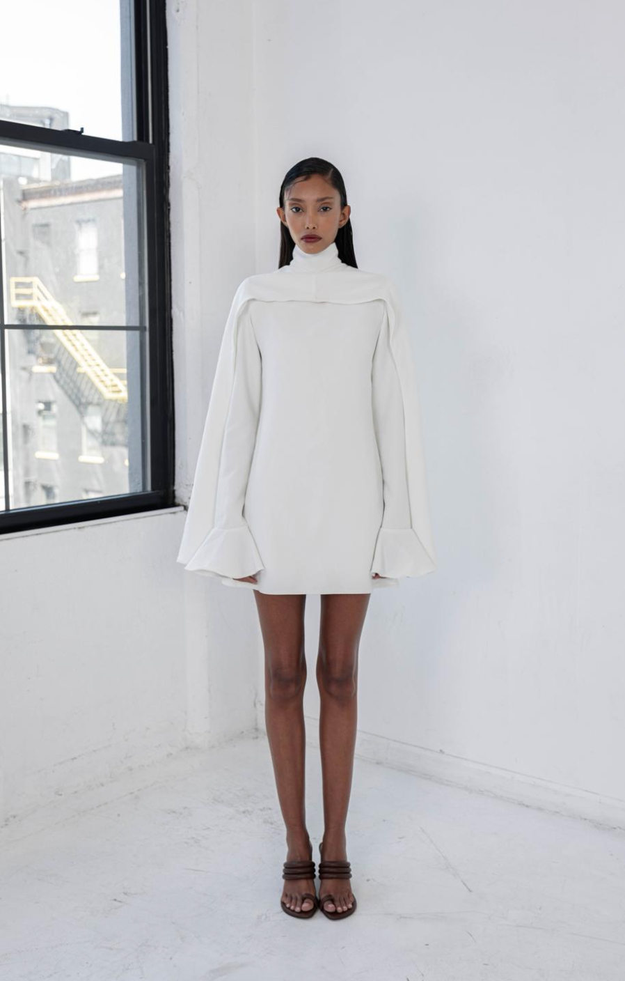 LE CAPE DRESS