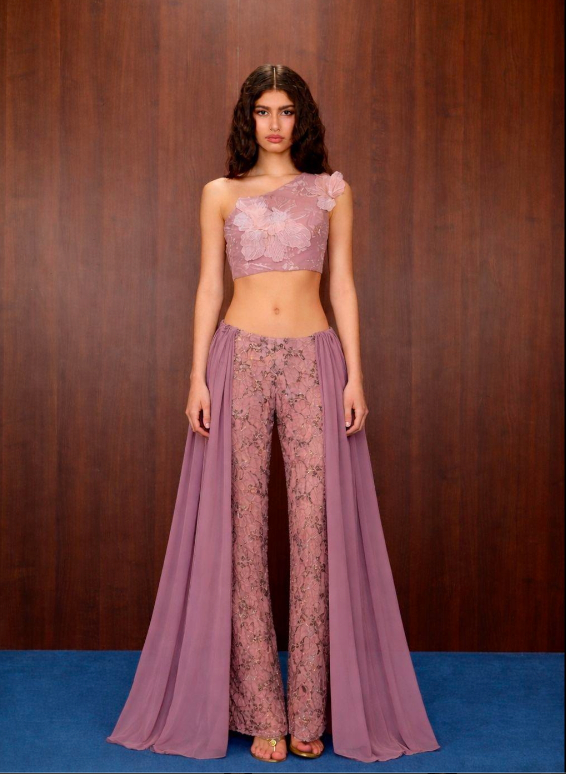 Embroidered Lace set - Chiffon Variation